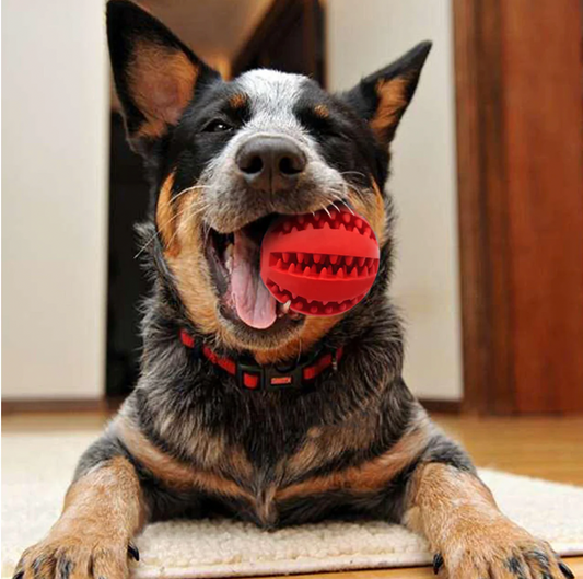 Pet Food Dispenser Ball - Chew Toy for Dogs and Puppies, Promotes Healthy Teeth